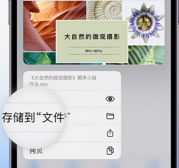 茅箭apple维修中心分享iPhone文件应用中存储和找到下载文件