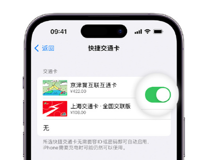 茅箭apple维修点分享iPhone上更换Apple Pay快捷交通卡手绘卡面 