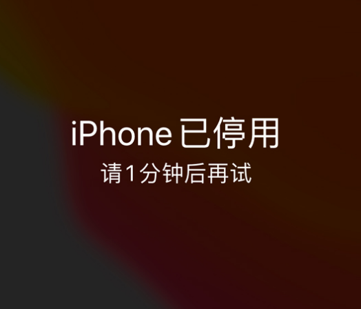 茅箭苹果手机维修分享:iPhone 显示“不可用”或“已停用”怎么办？还能保留数据吗？ 