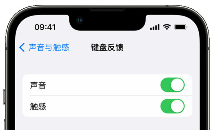 茅箭苹果手机维修分享iPhone 14触感键盘使用方法 