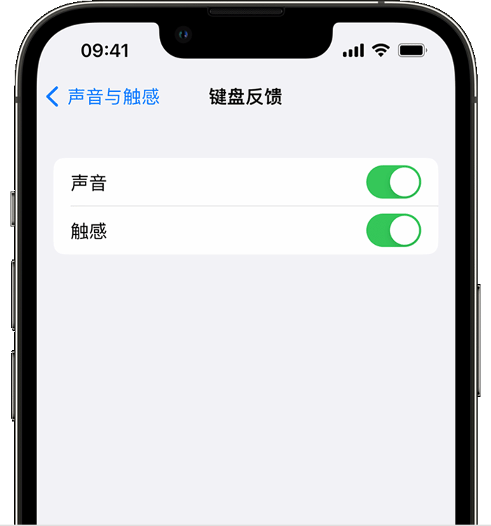 茅箭苹果14维修店分享如何在 iPhone 14 机型中使用触感键盘 