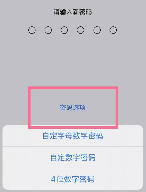 茅箭苹果14维修分享iPhone 14plus设置密码的方法 