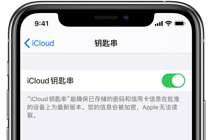 茅箭苹果手机维修分享在 iPhone 上开启 iCloud 钥匙串之后会储存哪些信息 