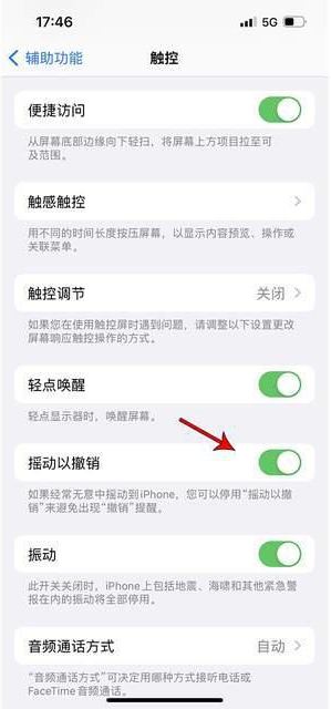 茅箭苹果手机维修分享iPhone手机如何设置摇一摇删除文字 