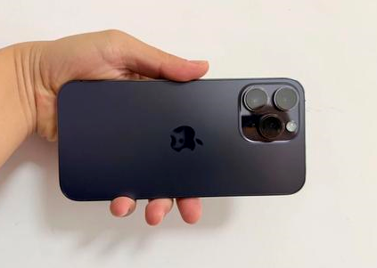 茅箭苹果维修点分享iPhone 14 Pro Max黑屏少见故障盘点 